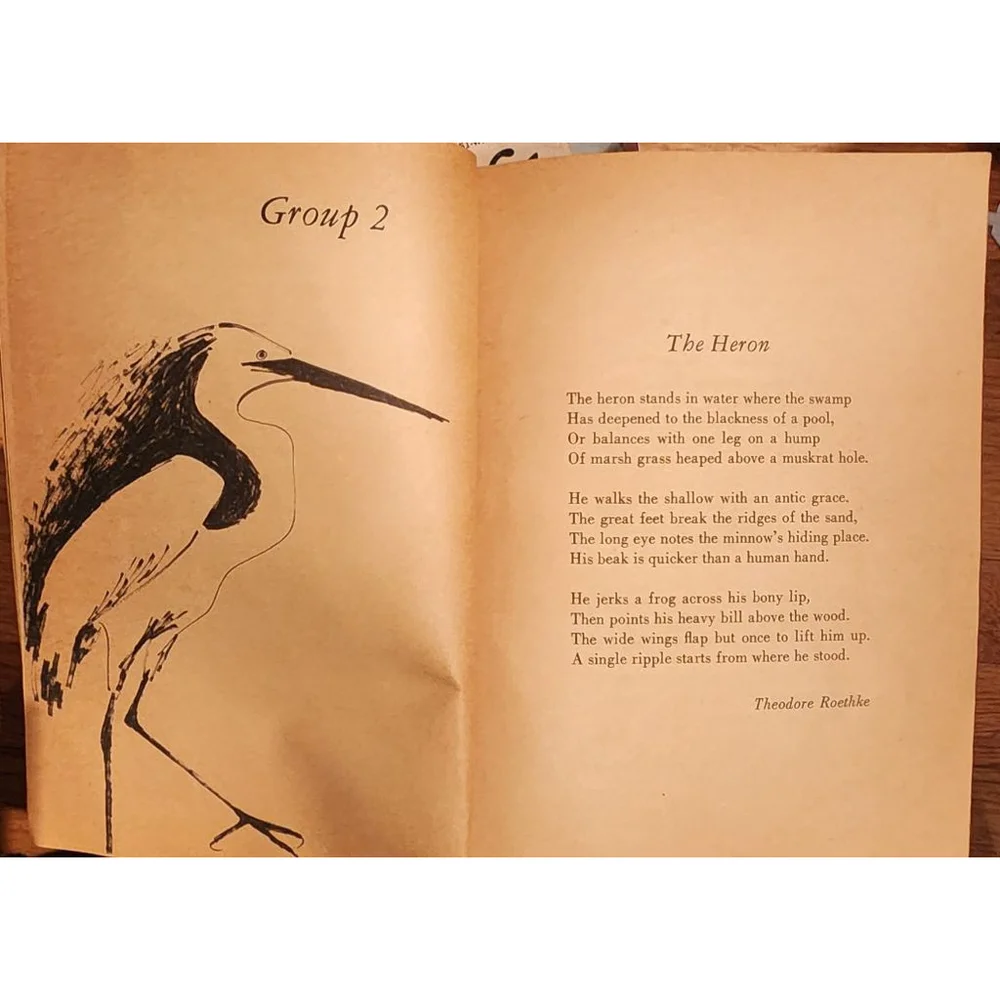 Cavalcade of Poems, 1968 Paperback